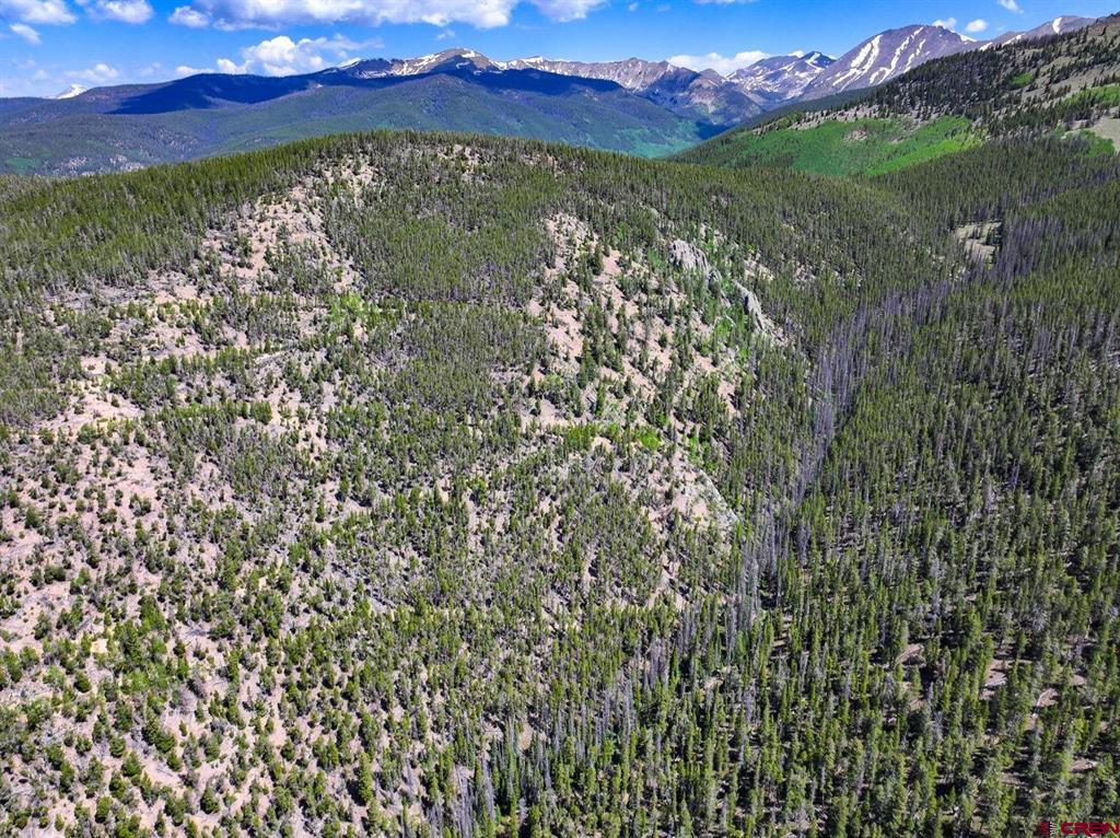 000 White Pine Upper Tomichi Property Photo 4