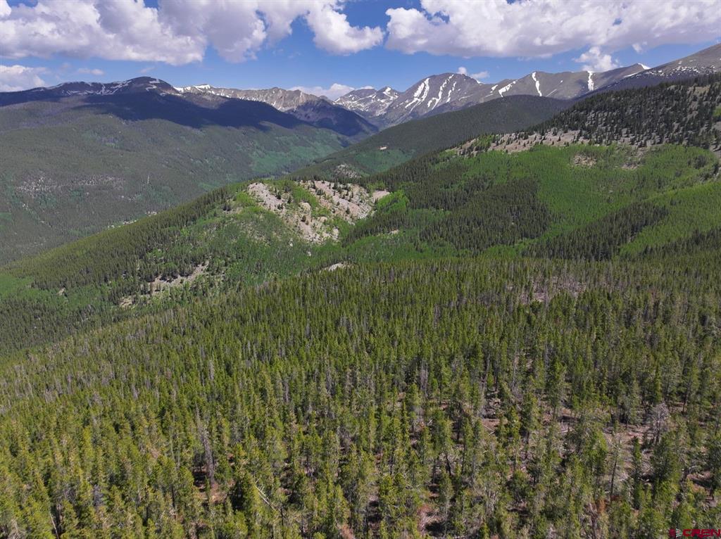 000 White Pine Upper Tomichi Property Photo 5