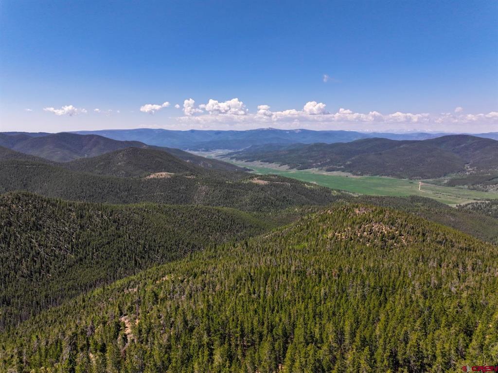 000 White Pine Upper Tomichi Property Photo 7