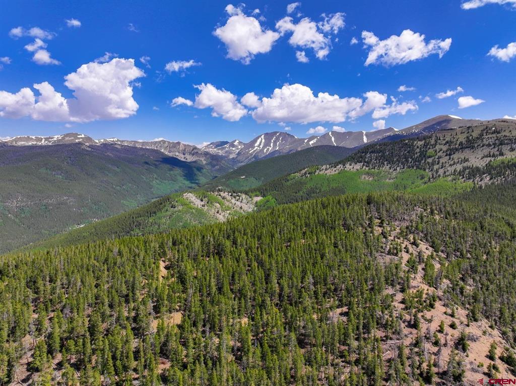 000 White Pine Upper Tomichi Property Photo 8