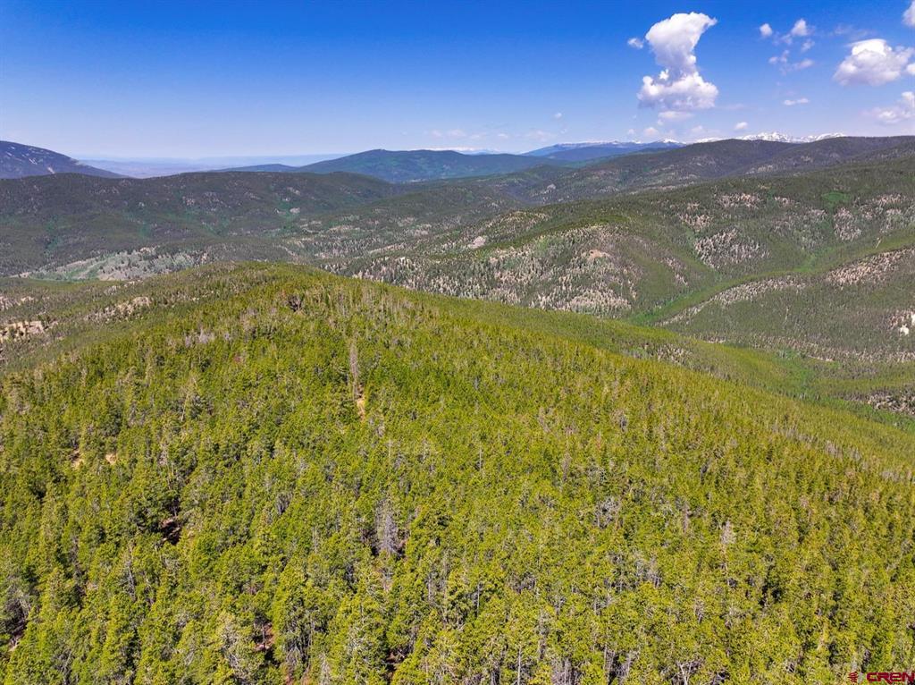 000 White Pine Upper Tomichi Property Photo 10