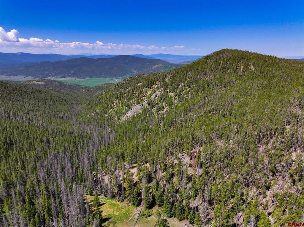 000 White Pine Upper Tomichi Property Photo 11