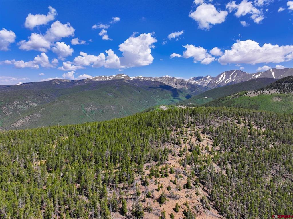 000 White Pine Upper Tomichi Property Photo 12