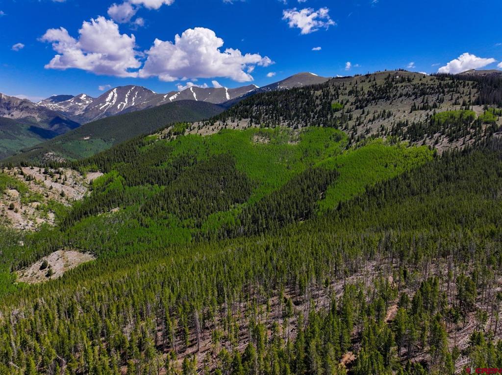 000 White Pine Upper Tomichi Property Photo 13