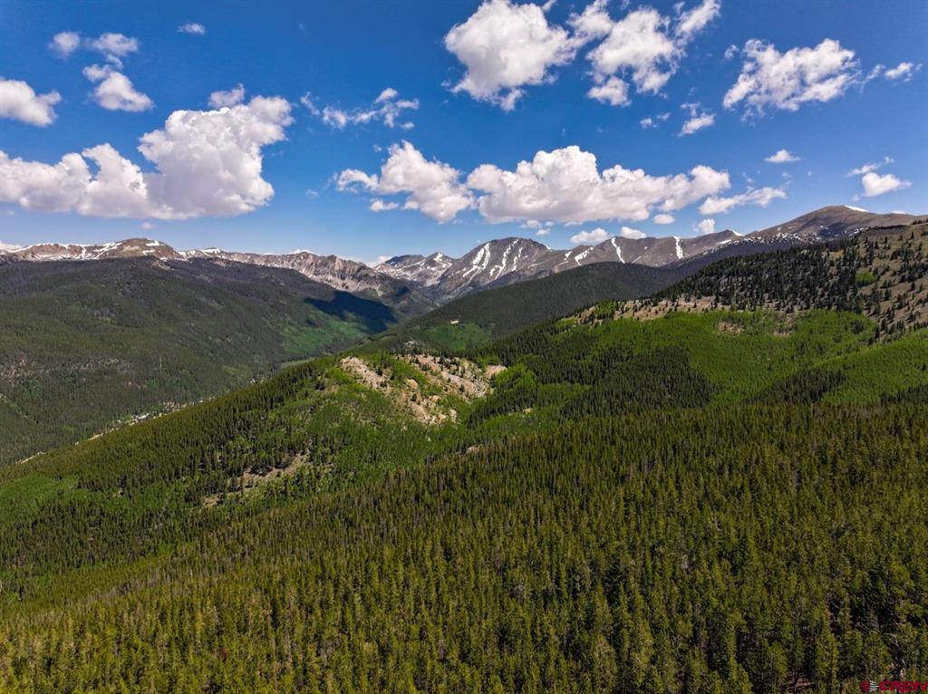 000 White Pine Upper Tomichi Property Photo 15