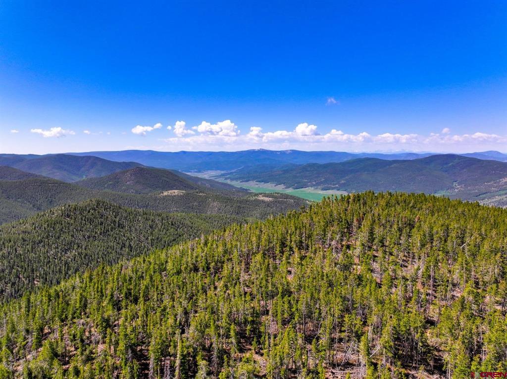 000 White Pine Upper Tomichi Property Photo 16