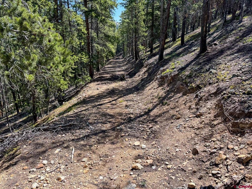 000 White Pine Upper Tomichi Property Photo 17