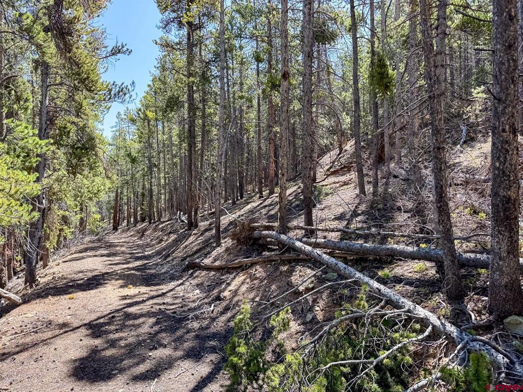 000 White Pine Upper Tomichi Property Photo 18