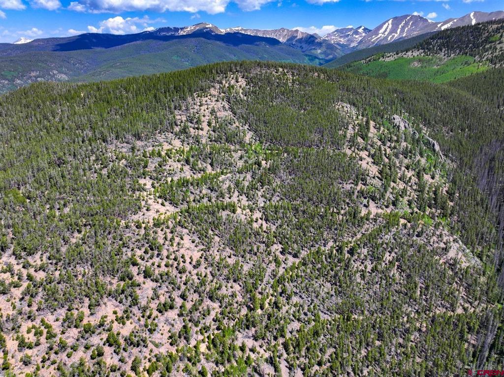 000 White Pine Upper Tomichi Property Photo 19