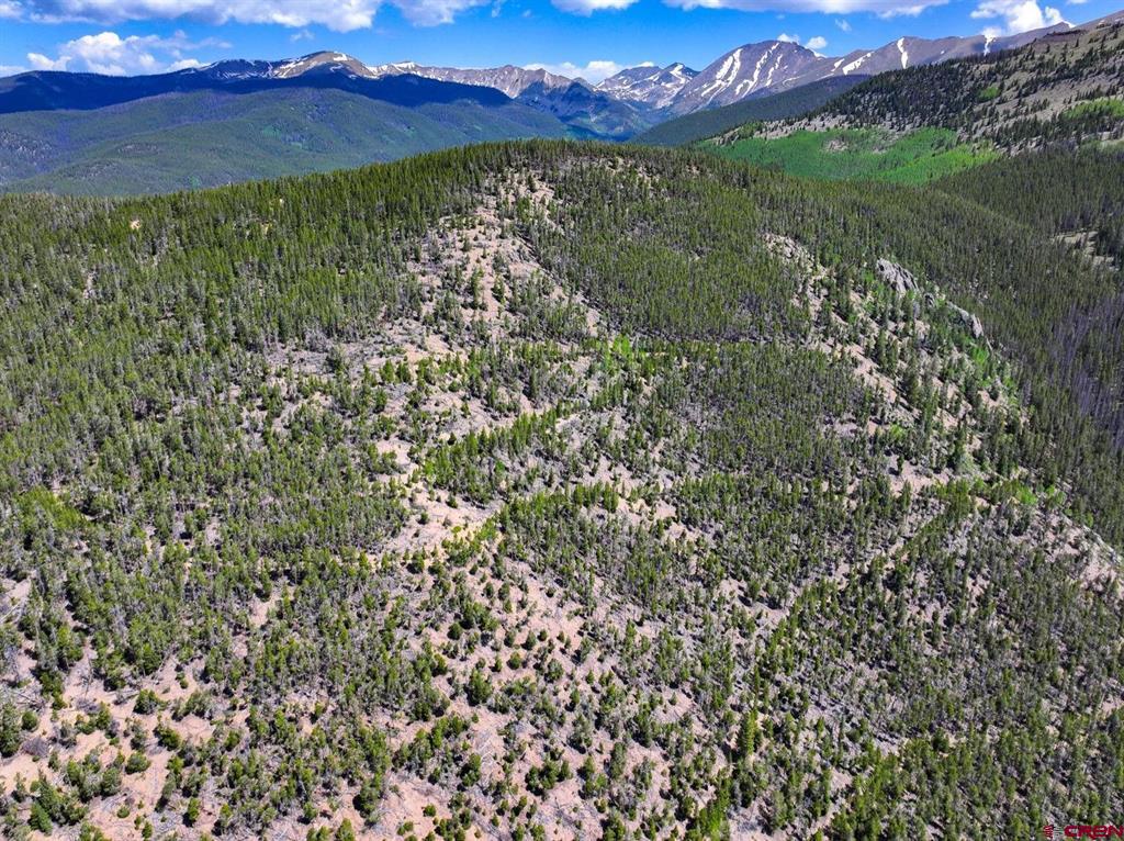 000 White Pine Upper Tomichi Property Photo 20
