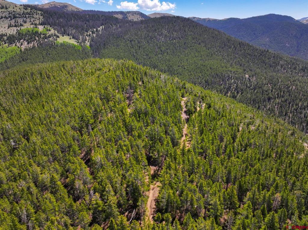 000 White Pine Upper Tomichi Property Photo 21