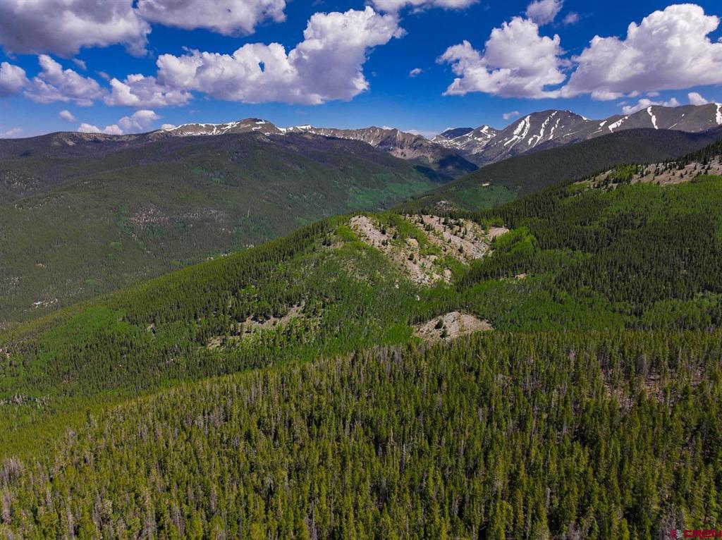 000 White Pine Upper Tomichi Property Photo 22