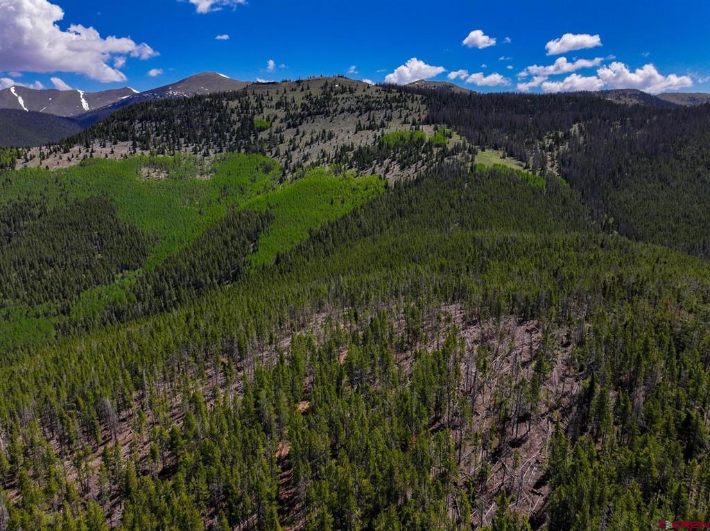 000 White Pine Upper Tomichi Property Photo 23