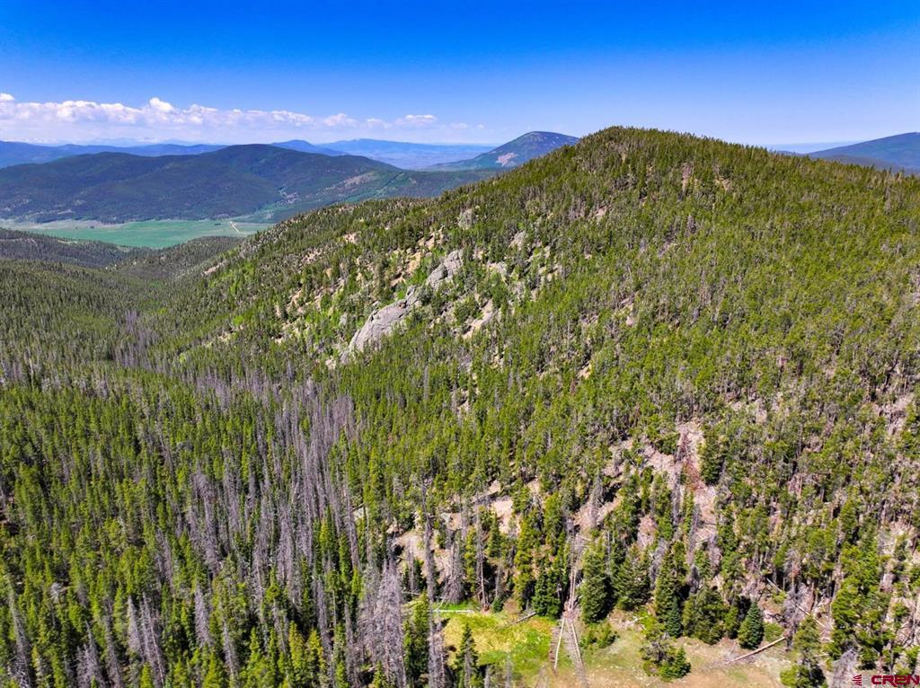 000 White Pine Upper Tomichi Property Photo 24