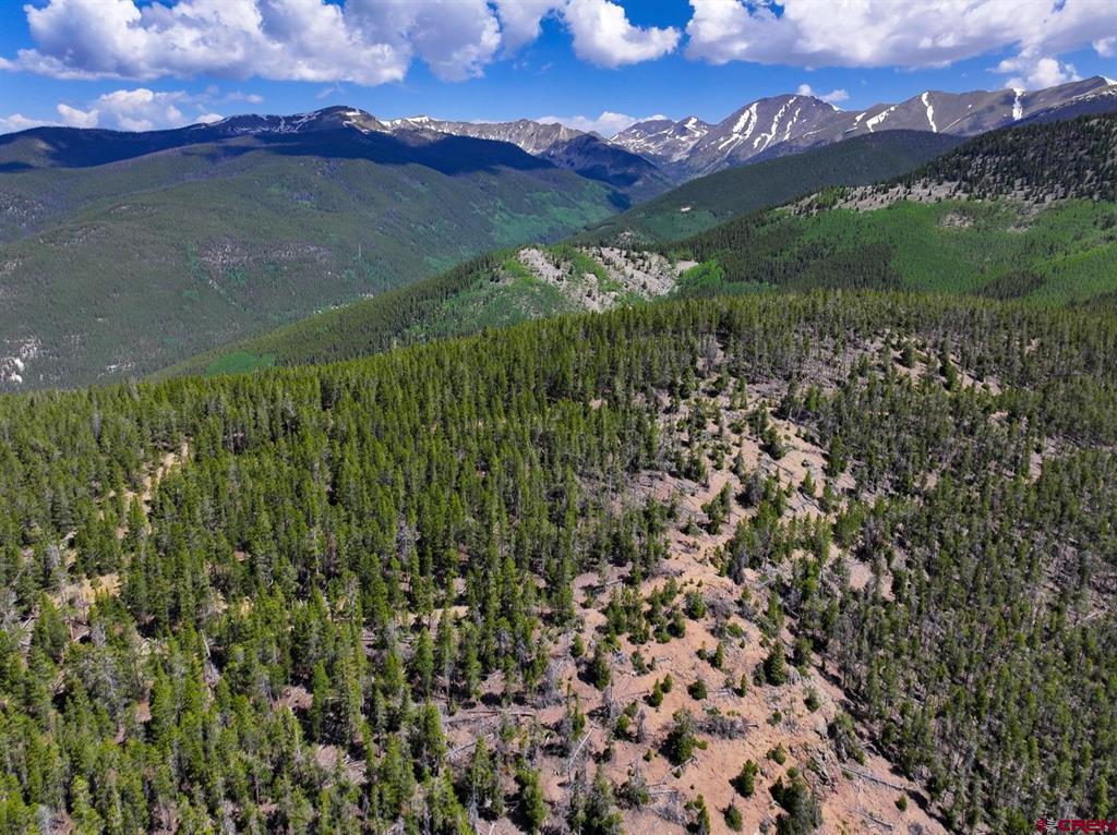 000 White Pine Upper Tomichi Property Photo 25