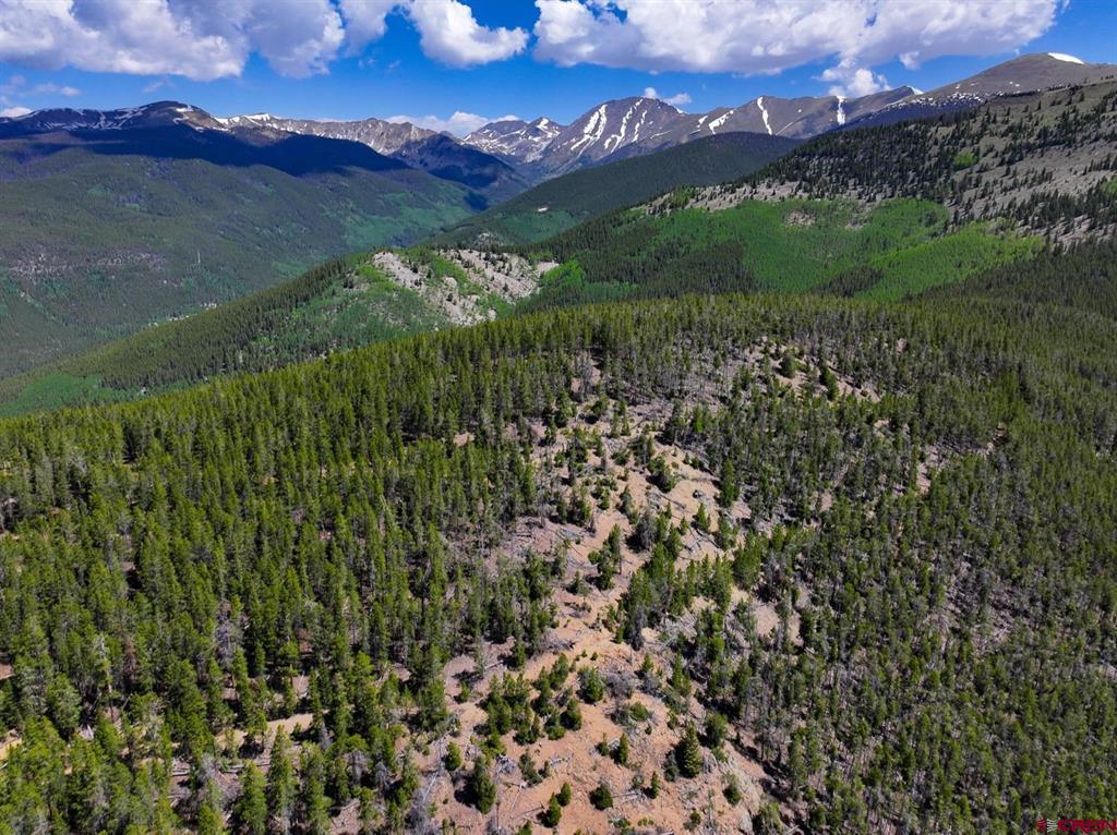 000 White Pine Upper Tomichi Property Photo 26