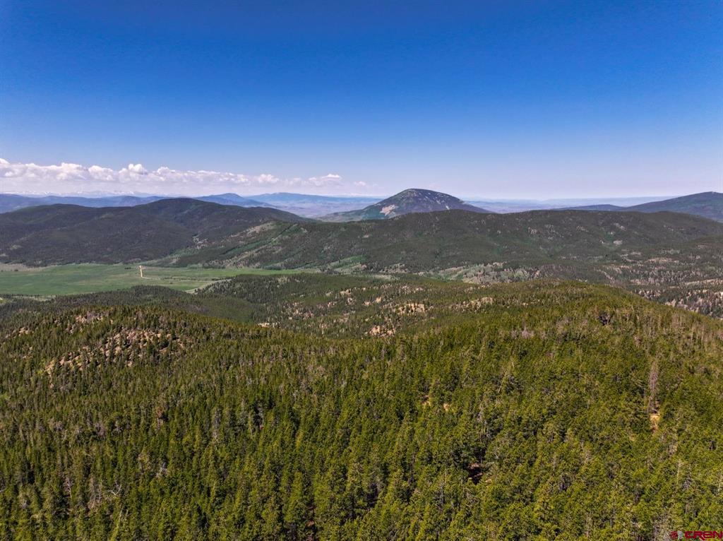 000 White Pine Upper Tomichi Property Photo 27