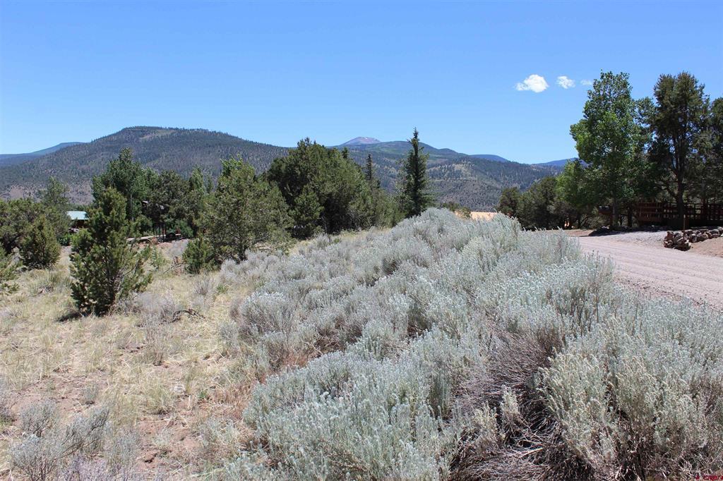 458 Kit Carson Road Property Photo 1