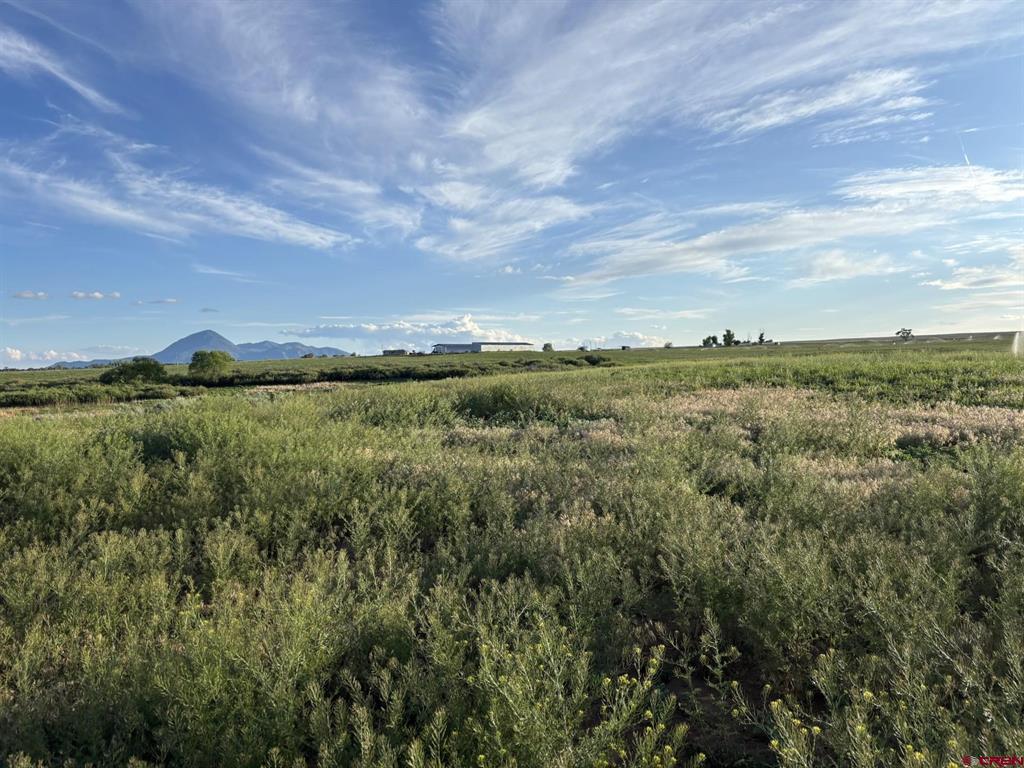 16513 Road 20 Property Photo 8
