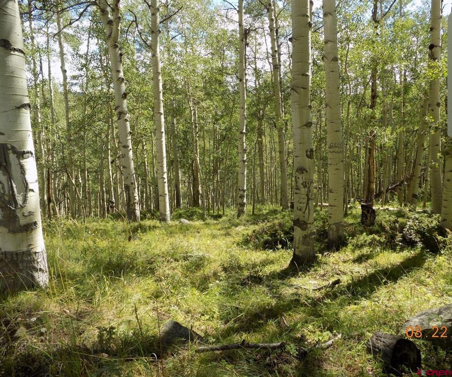 #tbd Usfs Rd 763 Road Property Photo 1