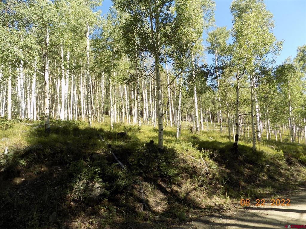 #tbd Usfs Rd 763 Road Property Photo 2