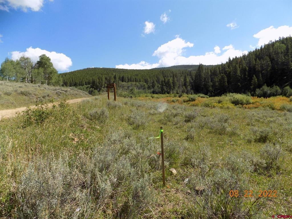 #tbd Usfs Rd 763 Road Property Photo 4