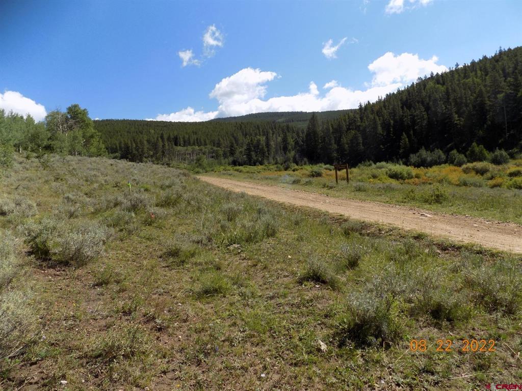#tbd Usfs Rd 763 Road Property Photo 5