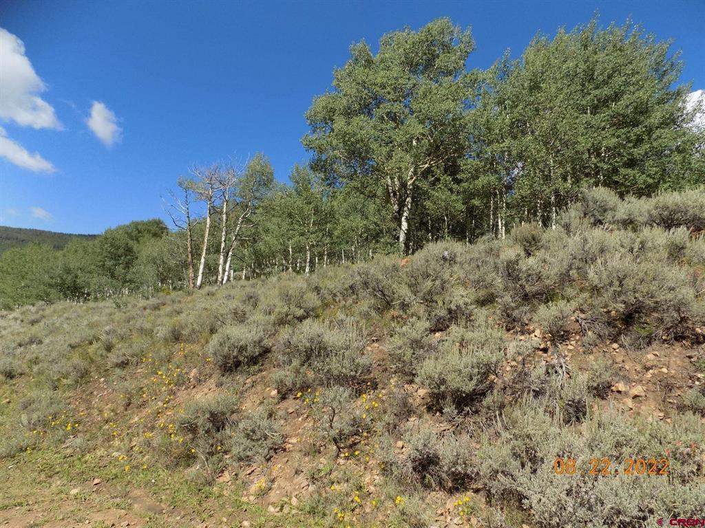 #tbd Usfs Rd 763 Road Property Photo 6