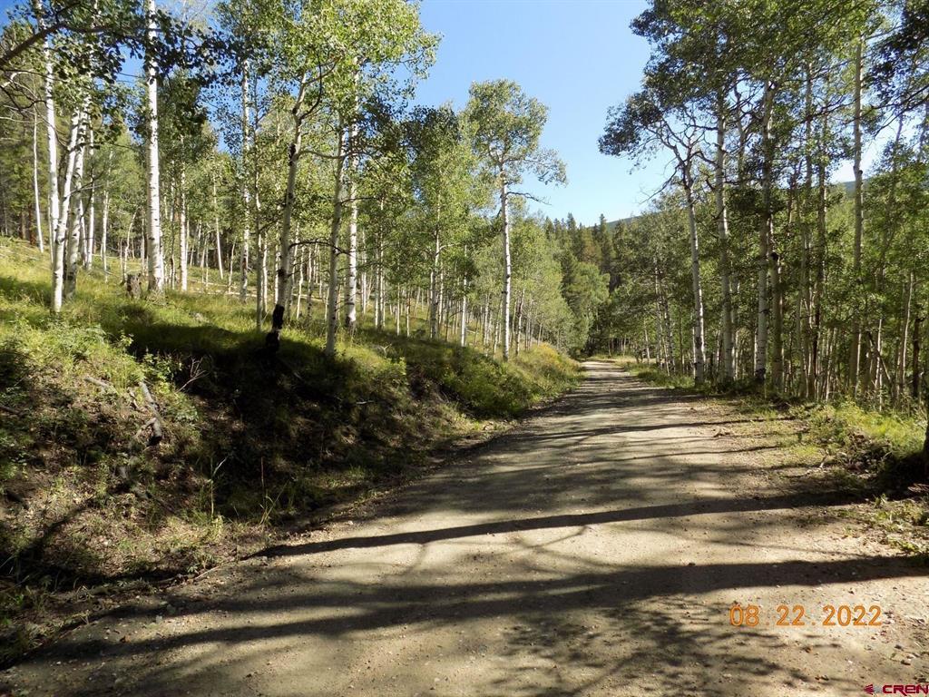 #tbd Usfs Rd 763 Road Property Photo 7