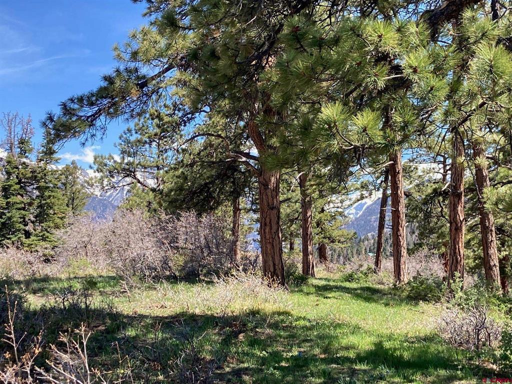 1600(2 Parcels) Elk Ridge Trail Property Photo 29