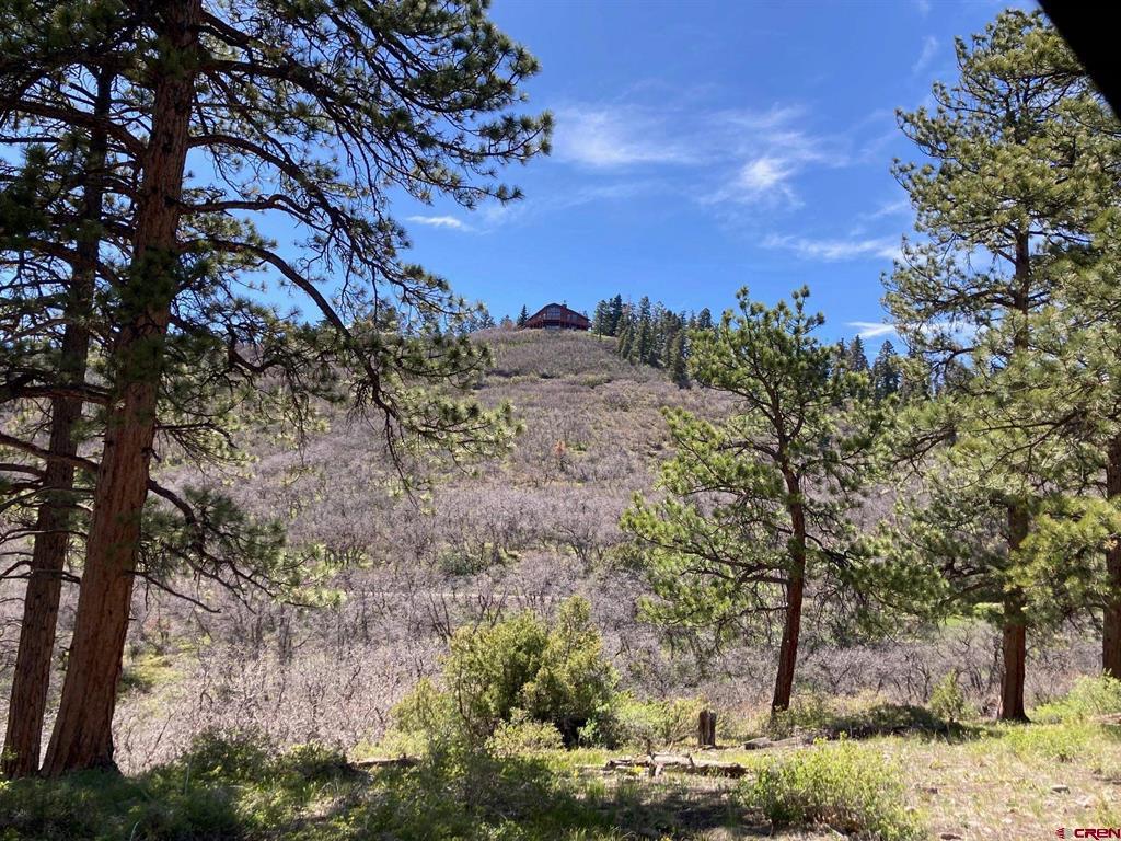 1600(2 Parcels) Elk Ridge Trail Property Photo 35