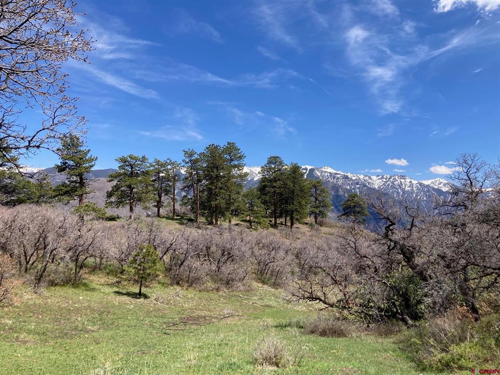 1600(2 Parcels) Elk Ridge Trail Property Photo 36