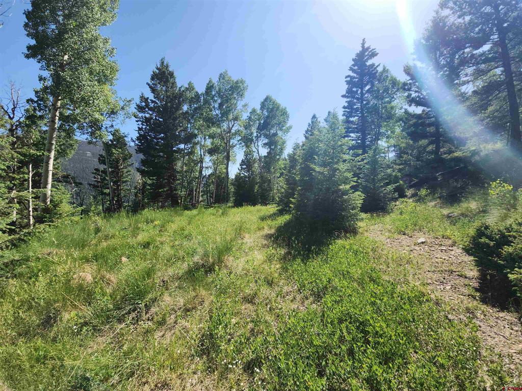 Tbd Blk 90 Lots 4-6 Property Photo 1