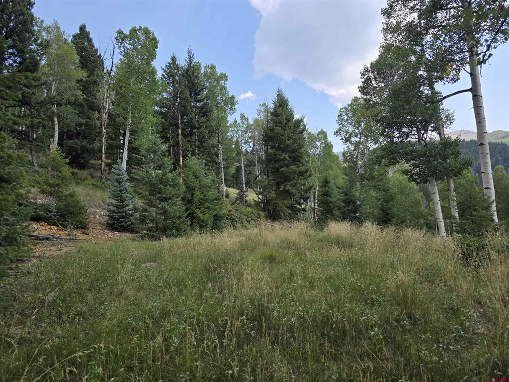 Tbd Blk 90 Lots 4-6 Property Photo 2