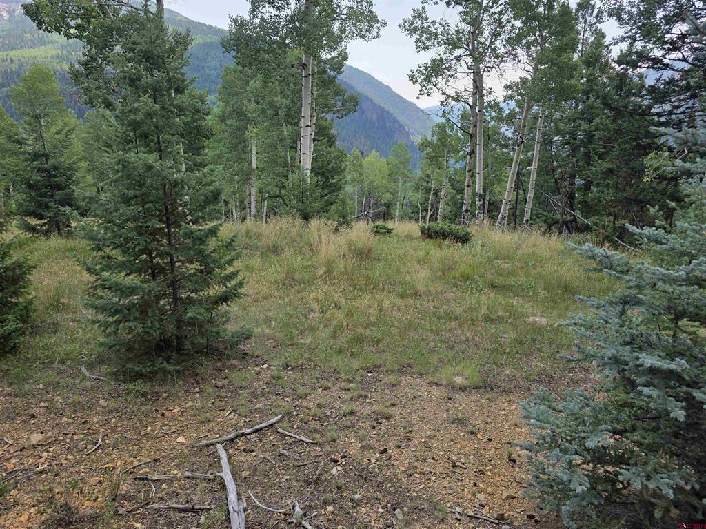 Tbd Blk 90 Lots 4-6 Property Photo 4