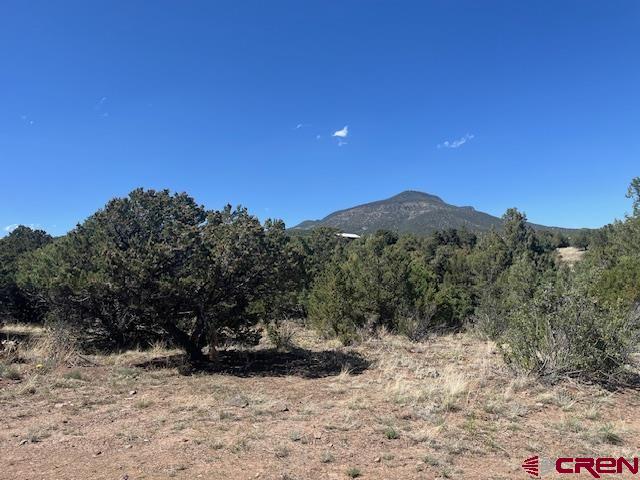 Tbd Arapahoe Road Property Photo 2
