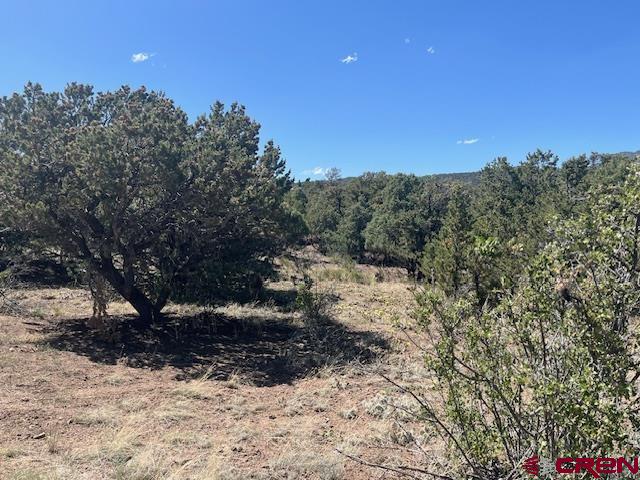 Tbd Arapahoe Road Property Photo 3