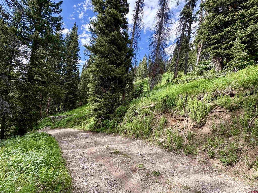 Tbd Copley Lake Road Property Photo 6