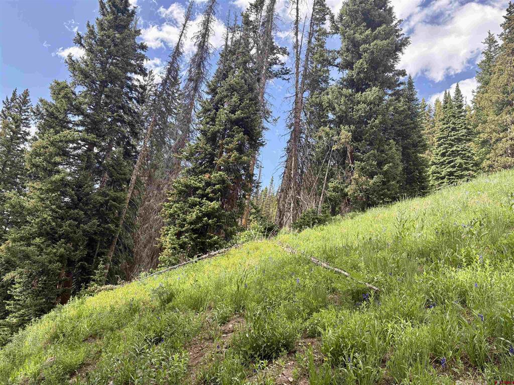 Tbd Copley Lake Road Property Photo 8