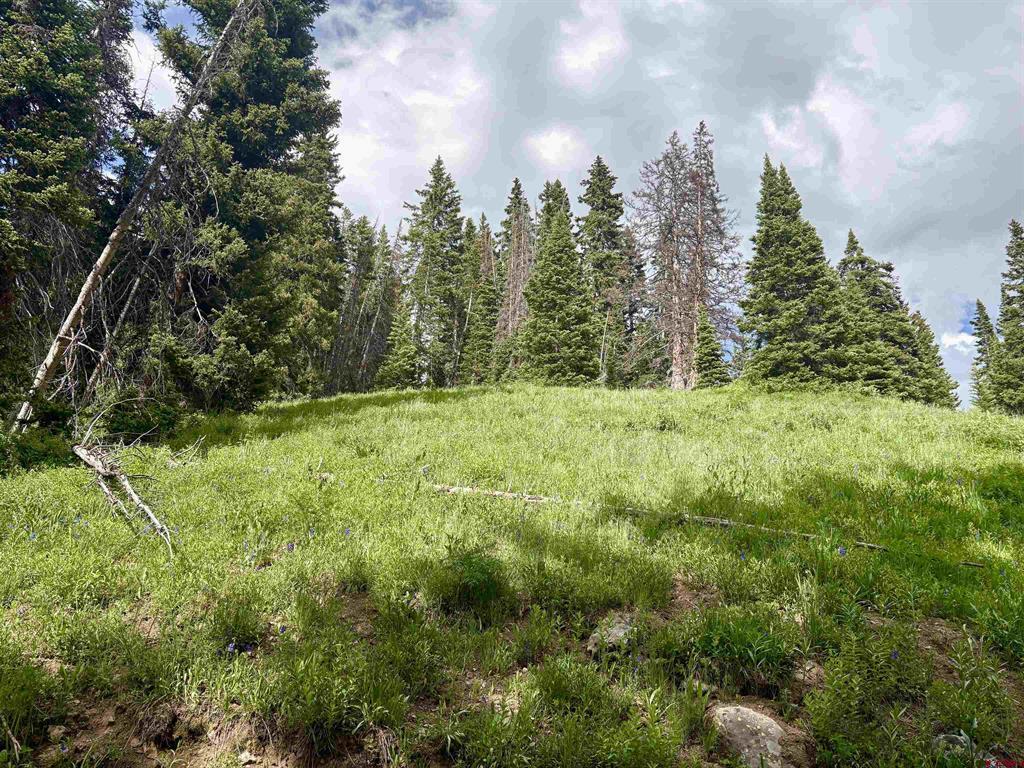 Tbd Copley Lake Road Property Photo 9