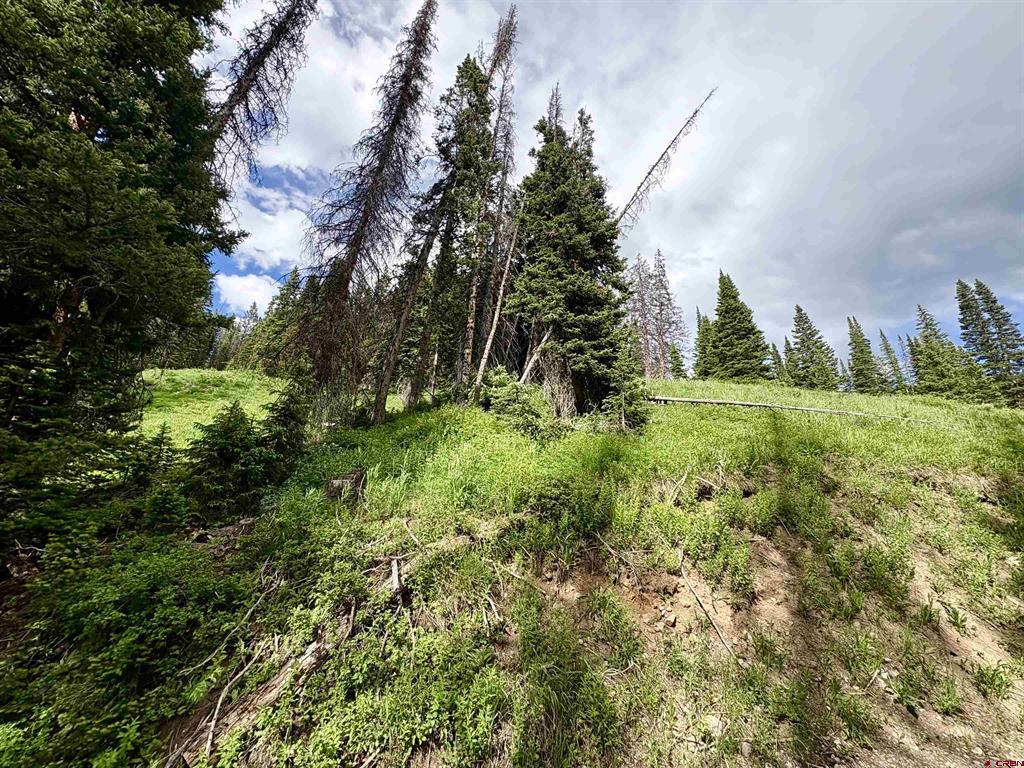 Tbd Copley Lake Road Property Photo 10