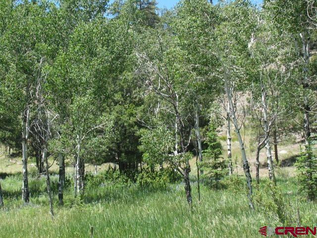0 Aspen Drive Property Photo 1
