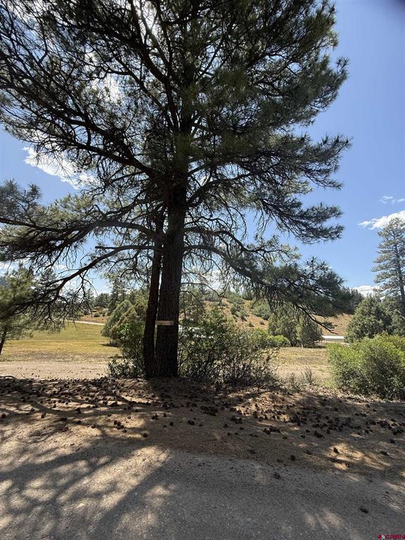 78 Dyke Boulevard Property Photo 1
