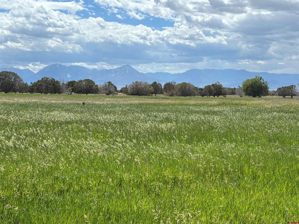 Tbd Redlands Mesa Road Property Photo 1