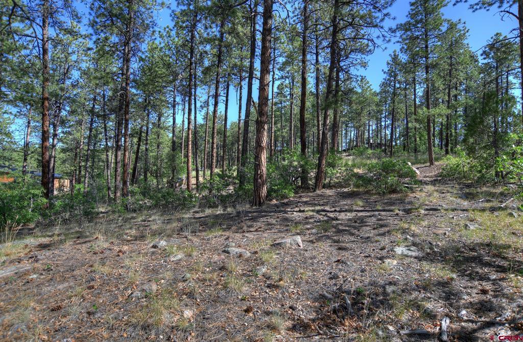 109 Cabin Creek Drive