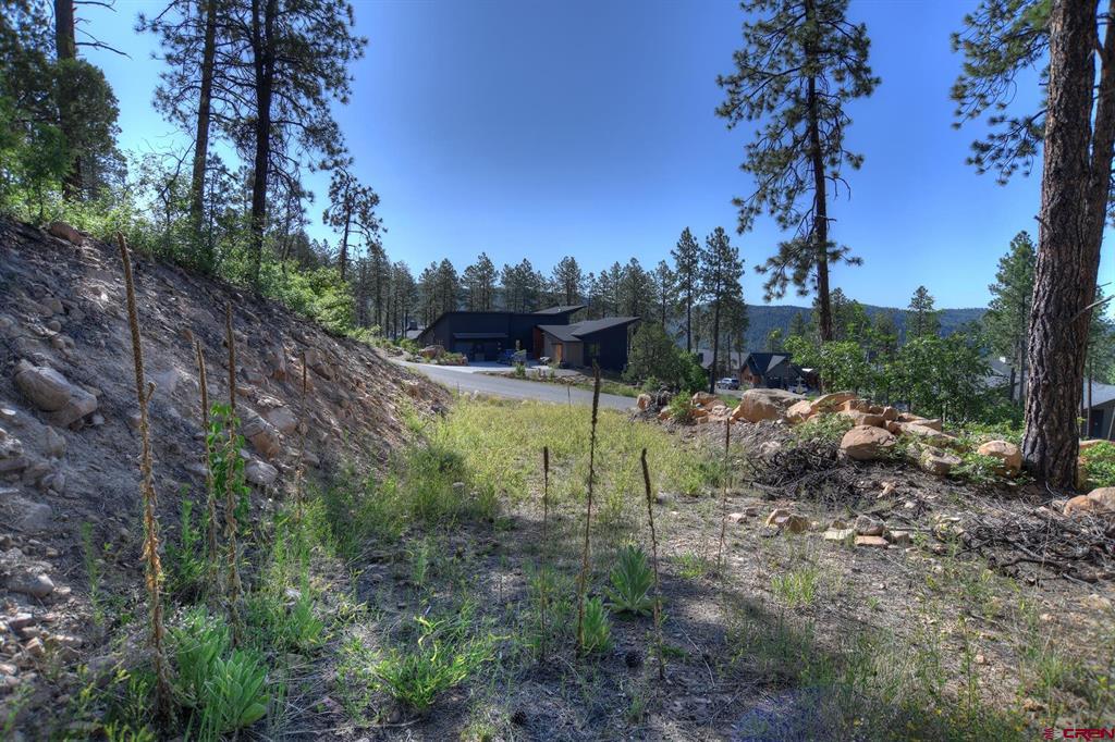 109 Cabin Creek Drive Property Photo 2