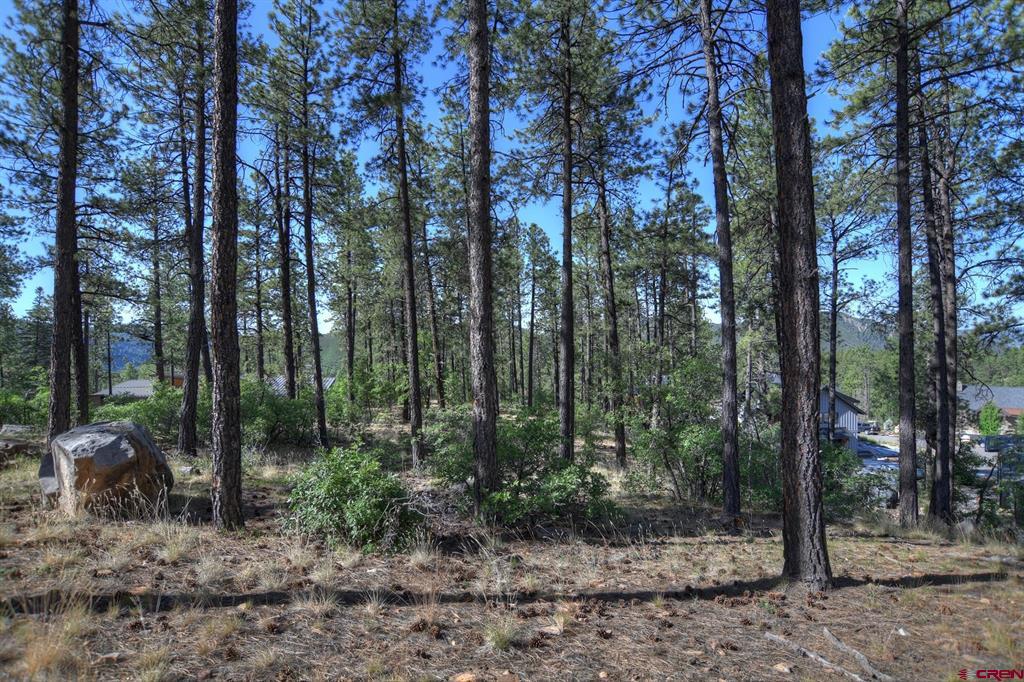 109 Cabin Creek Drive Property Photo 4