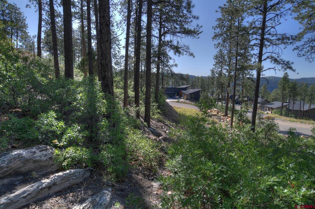 109 Cabin Creek Drive Property Photo 6