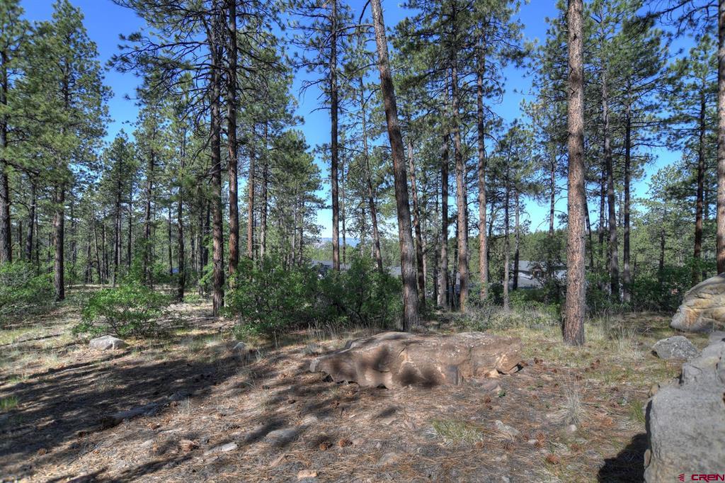 109 Cabin Creek Drive Property Photo 7