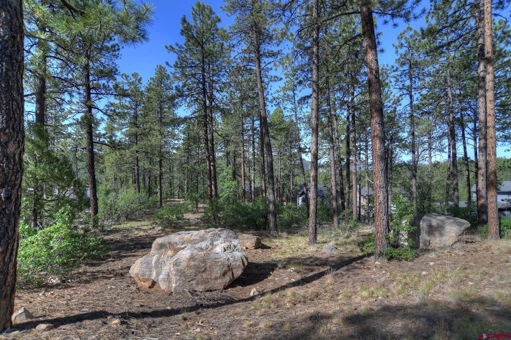 109 Cabin Creek Drive Property Photo 8